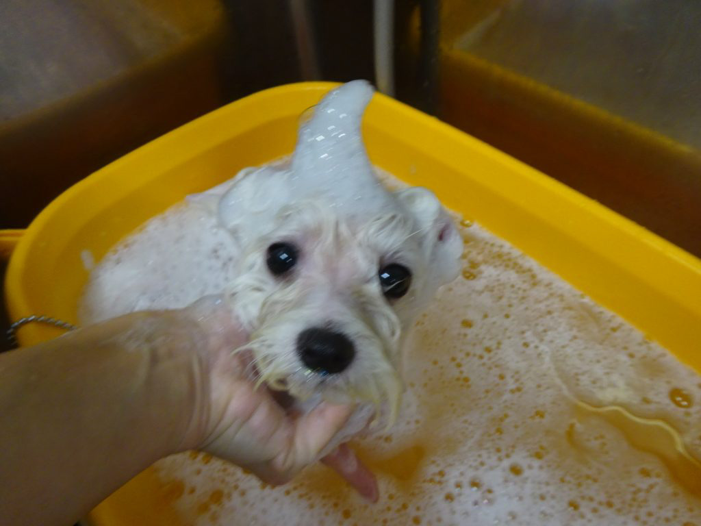 %e9%9a%a0%e5%9c%b0%e3%83%aa%e3%82%aa%e3%83%b3%e3%81%a1%e3%82%83%e3%82%93%e3%82%bf%e3%83%96