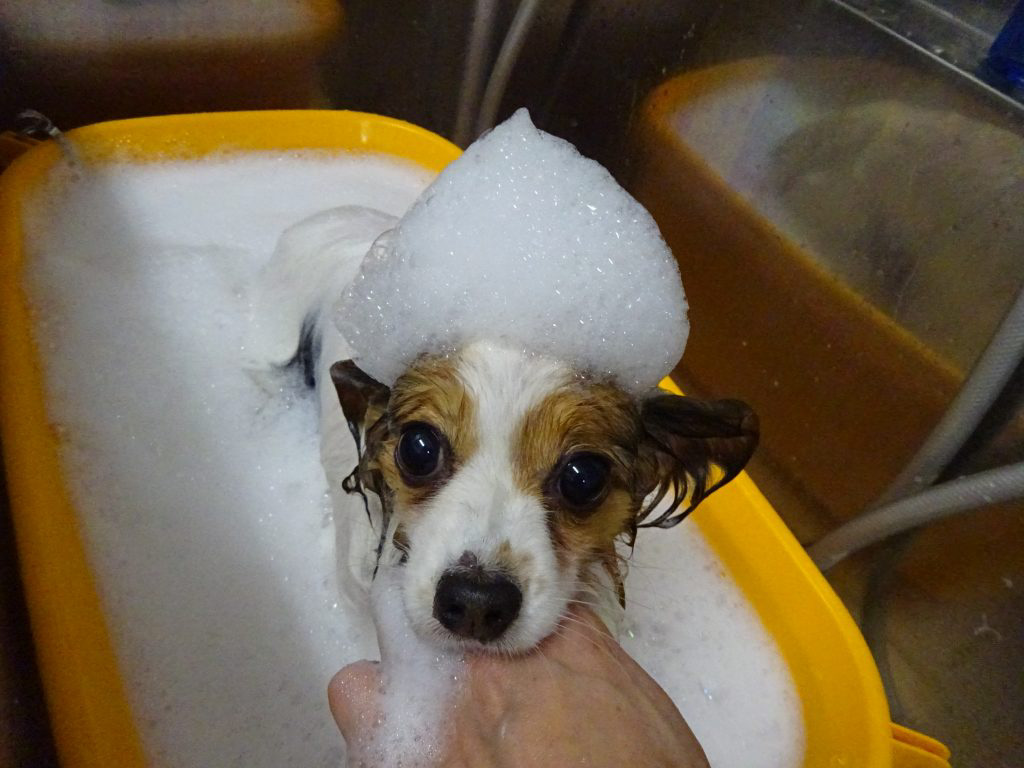 %e8%96%ae%e7%94%b0%e3%81%93%e3%81%be%e3%81%a1%e3%81%a1%e3%82%83%e3%82%93%e3%82%bf%e3%83%96-3