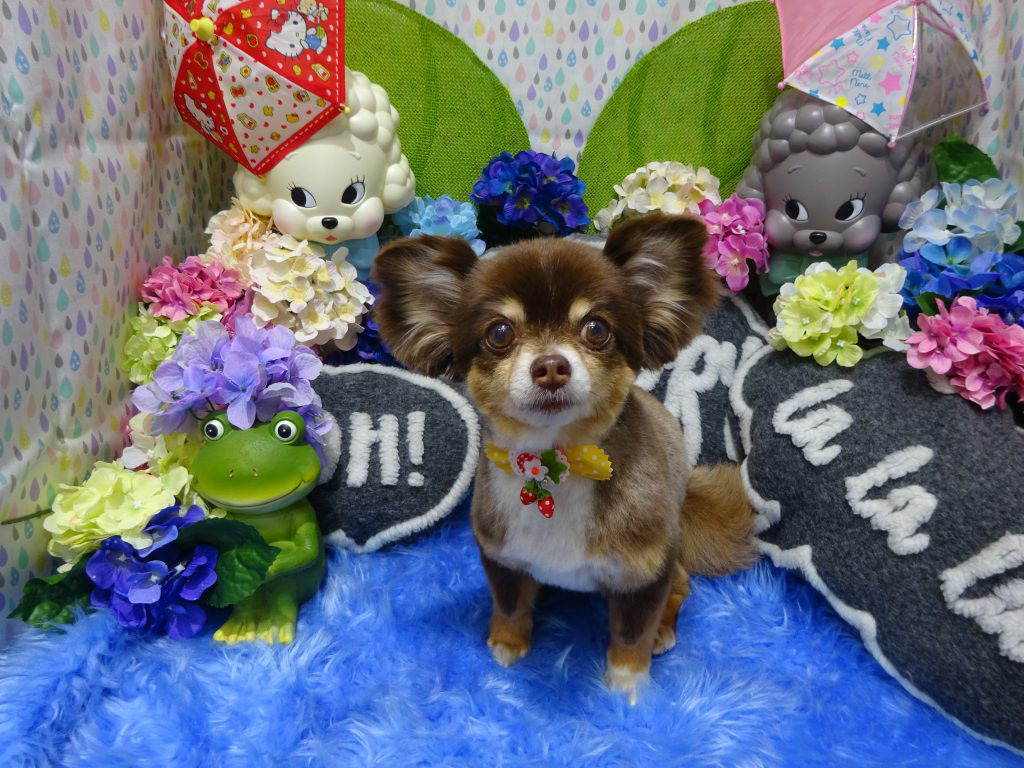 dsc07111