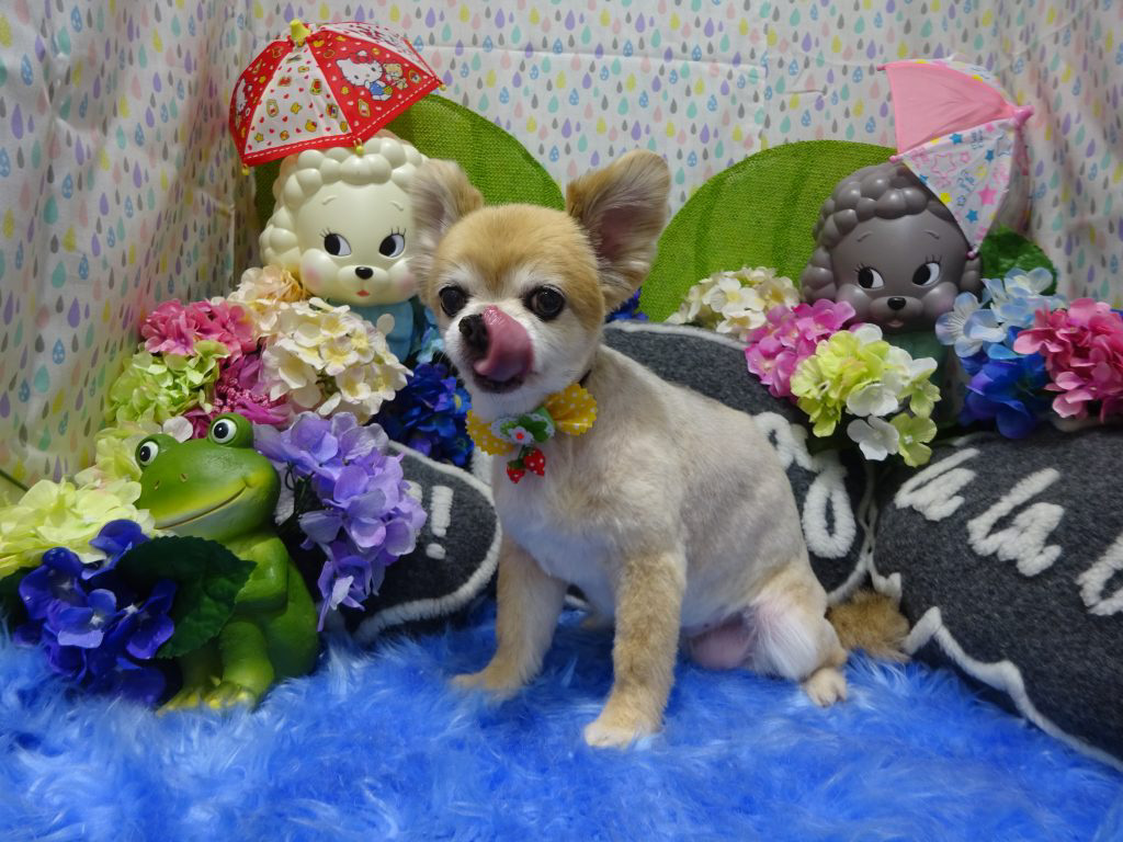 dsc07137
