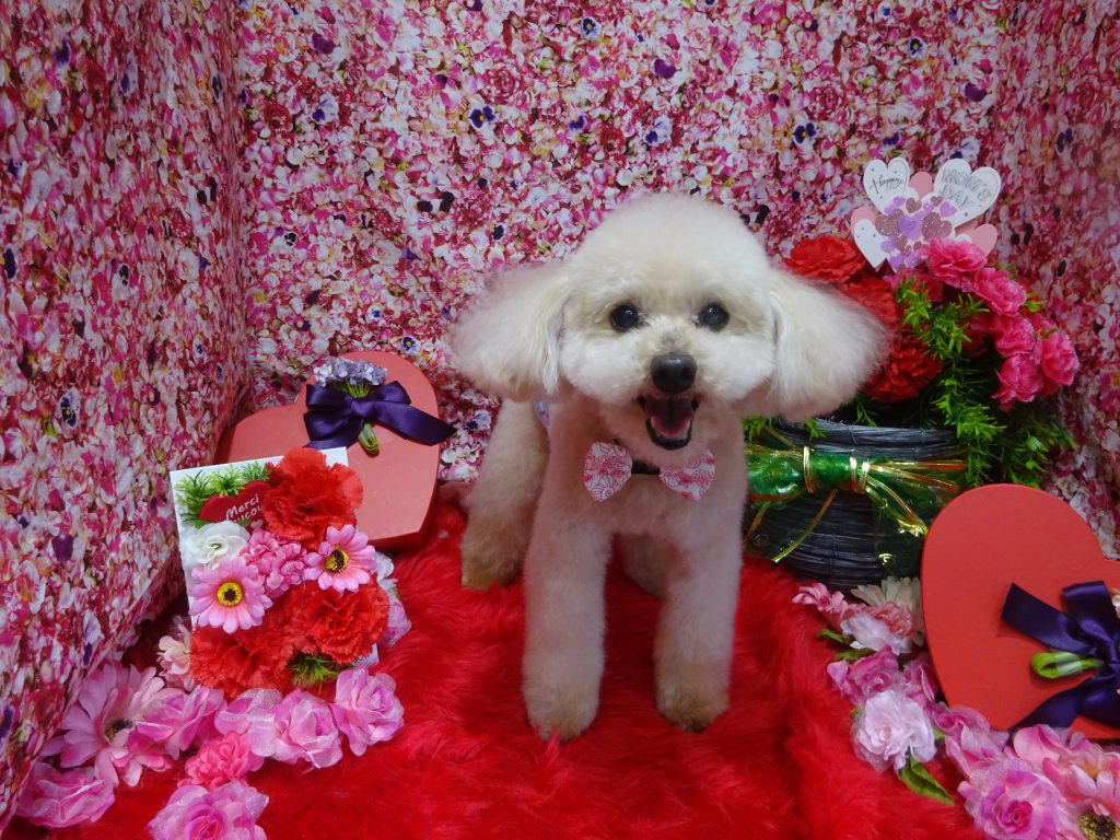 dsc08305