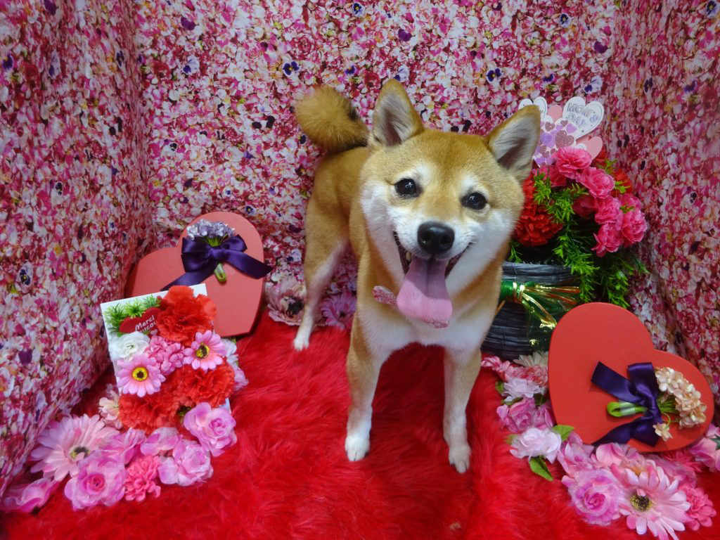 dsc08354