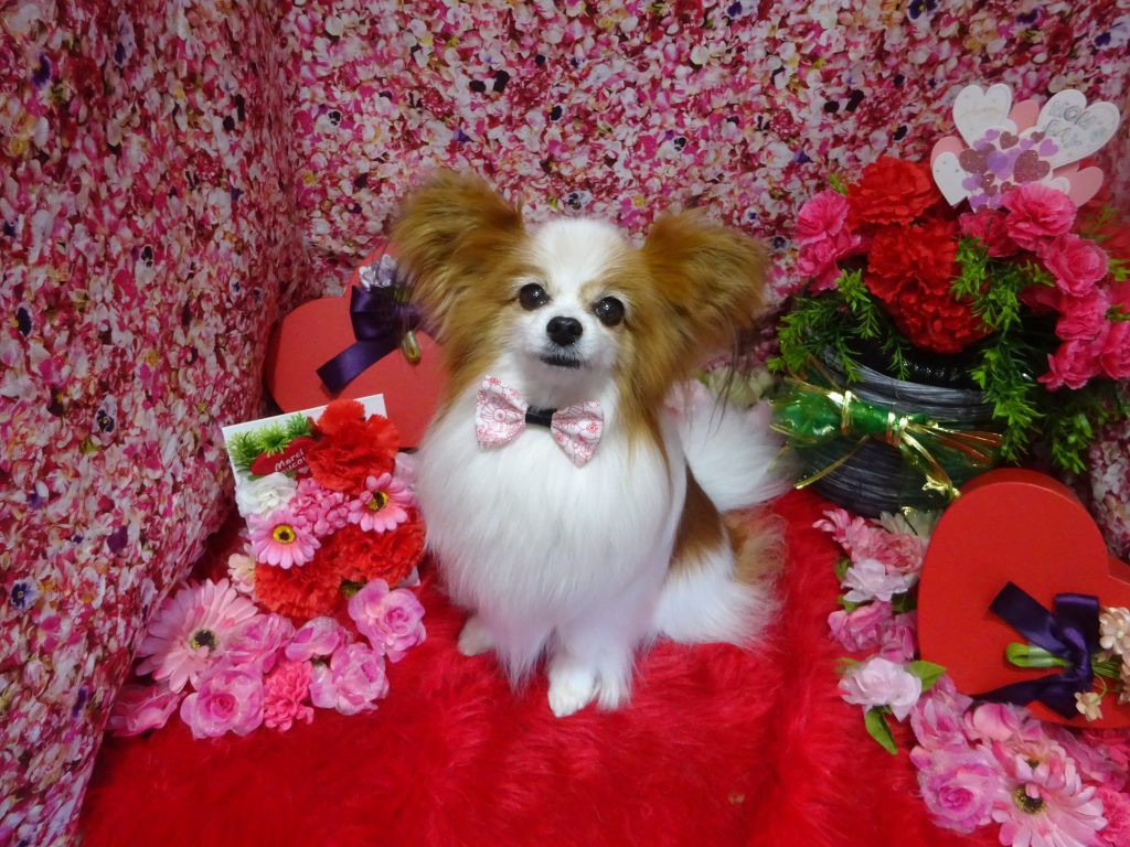 dsc08359