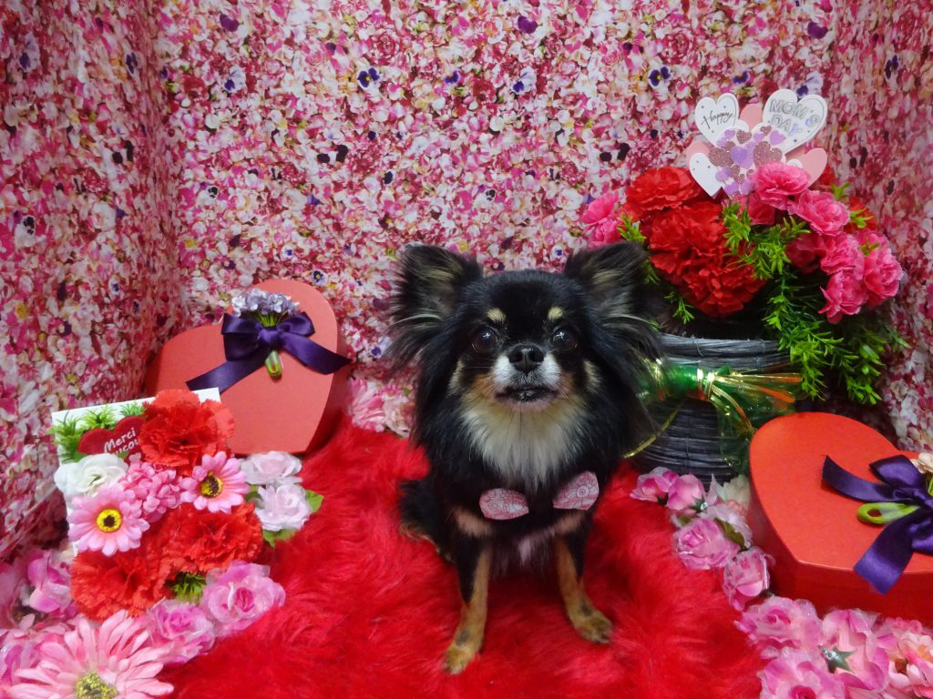 dsc08461