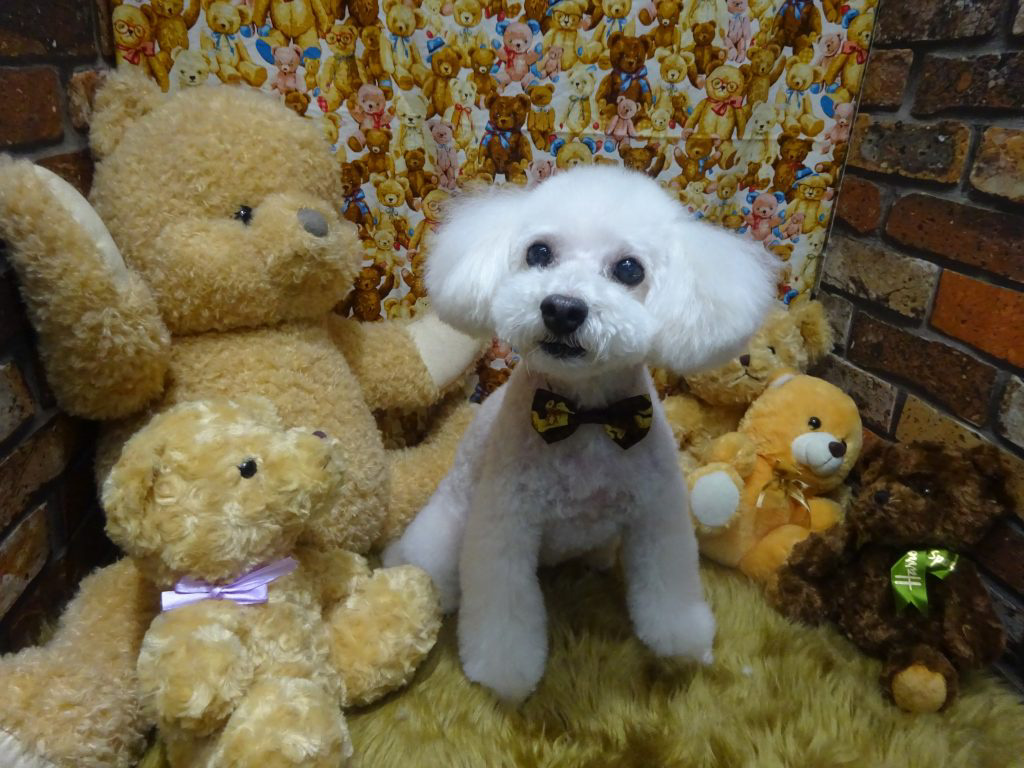 dsc01777