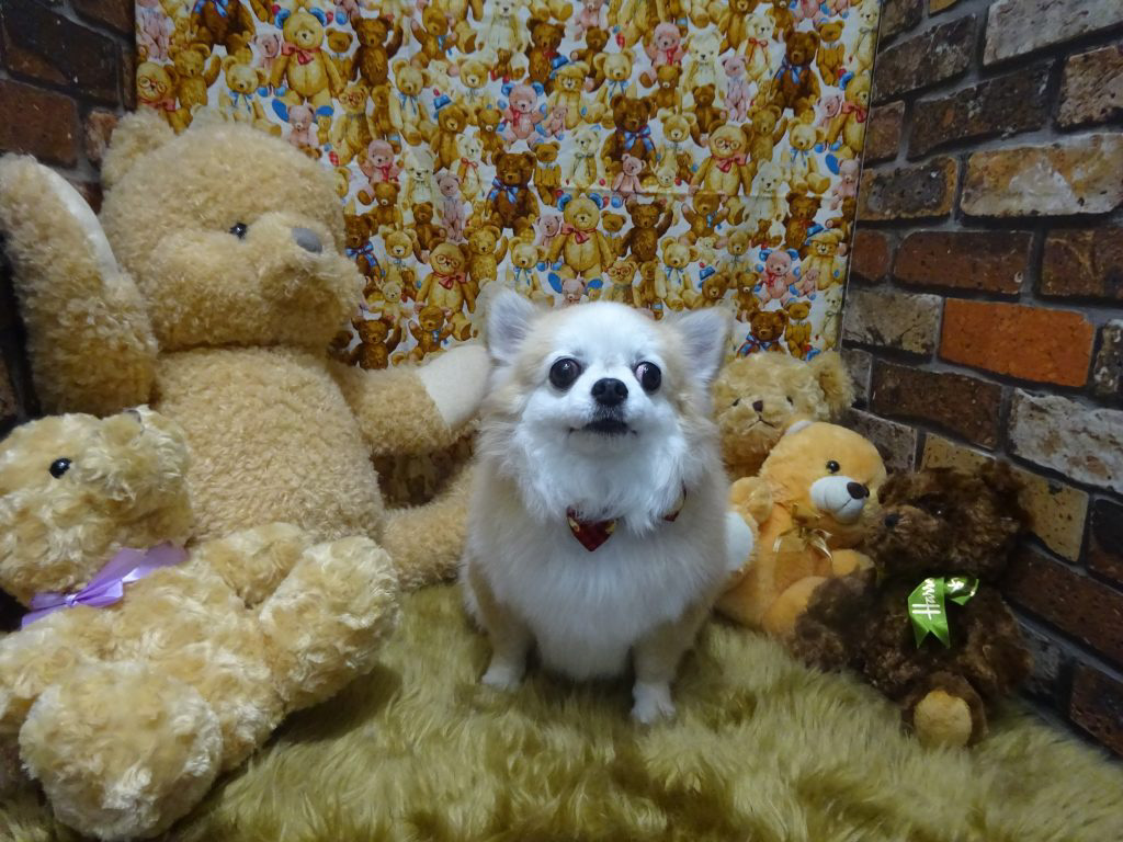 dsc01784