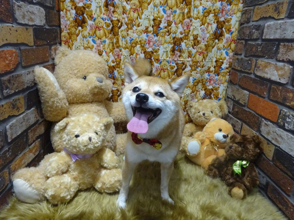 dsc01785