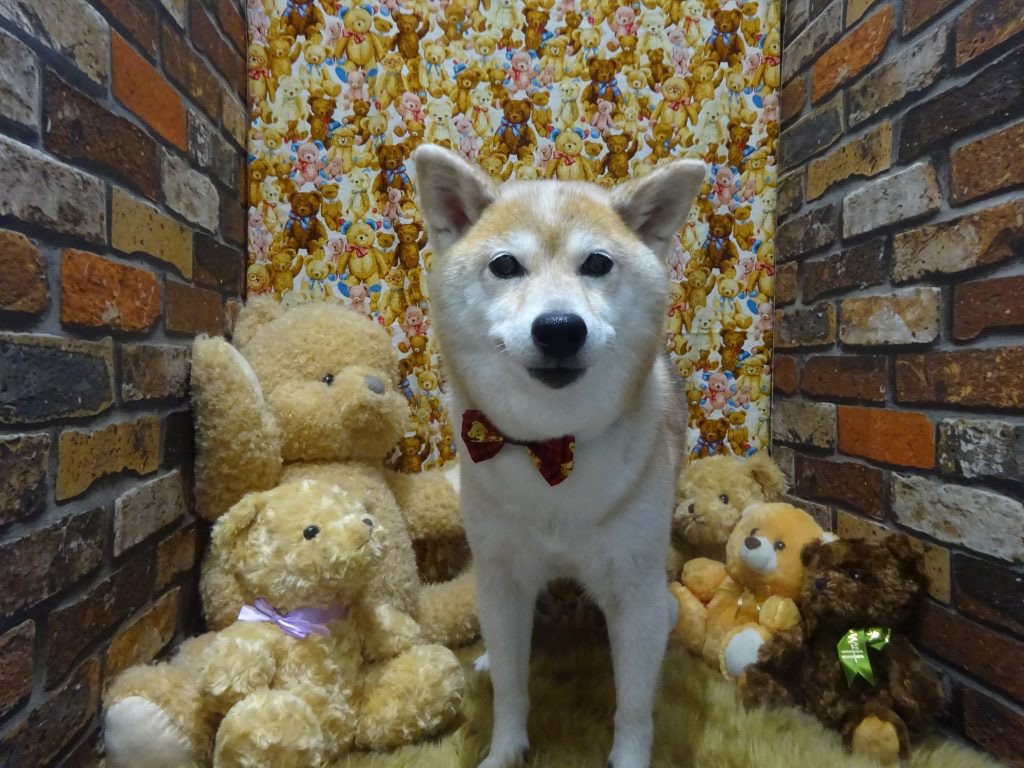dsc01800