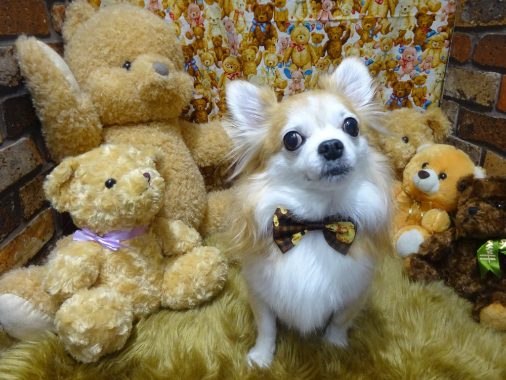 dsc01805