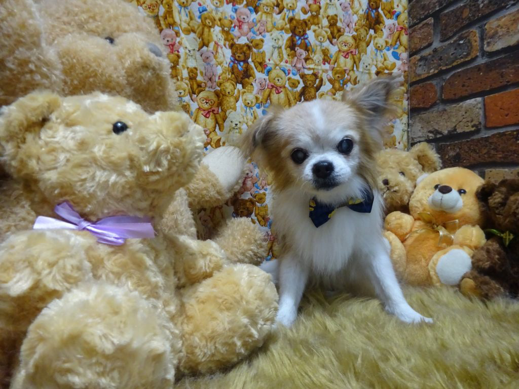dsc01812