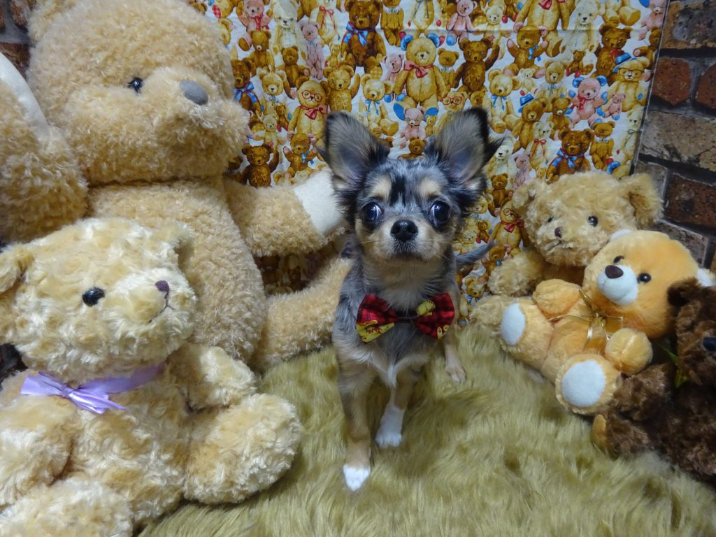 dsc01840