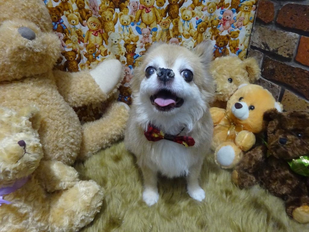 dsc01850