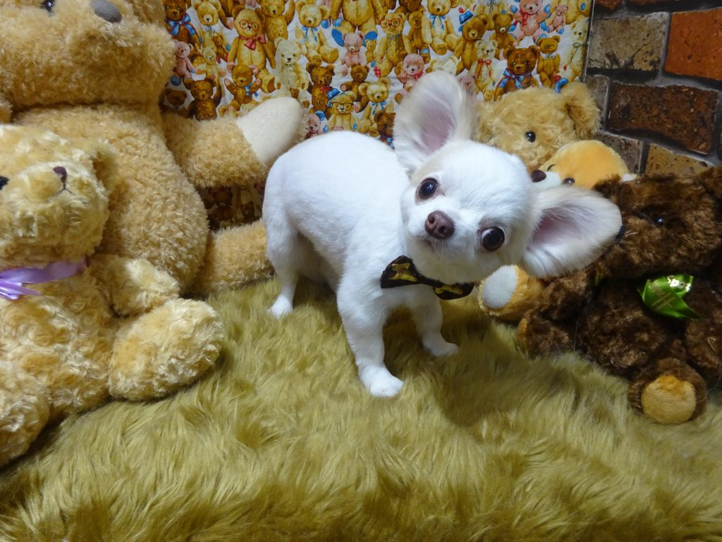 dsc01858