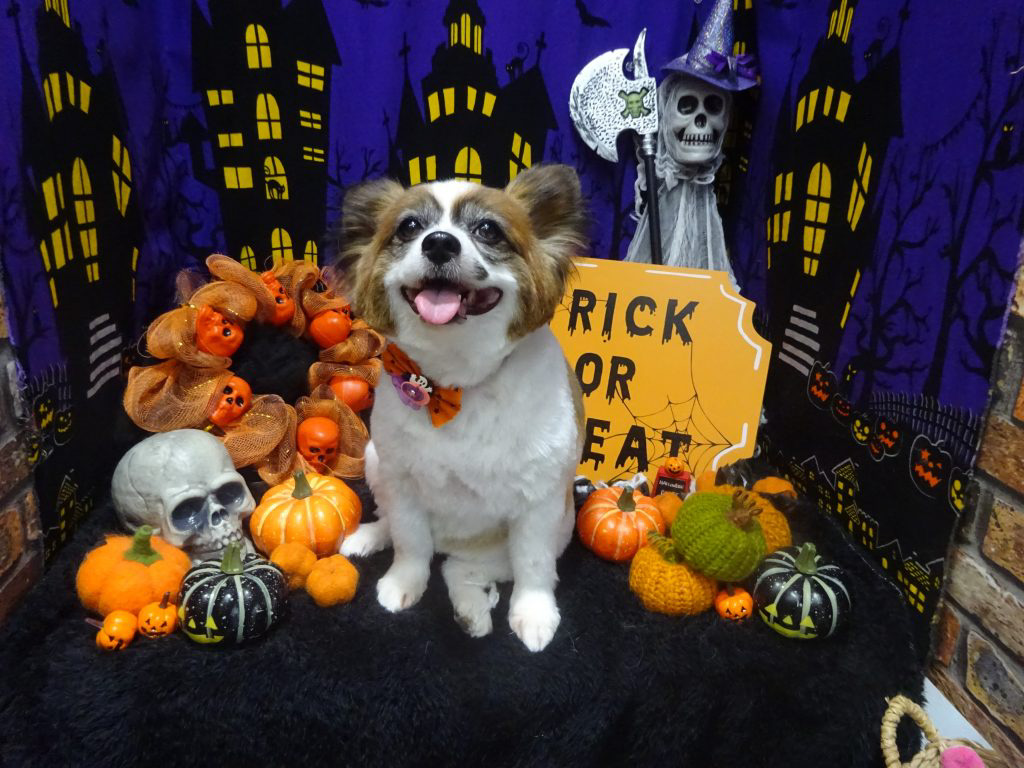 dsc02076