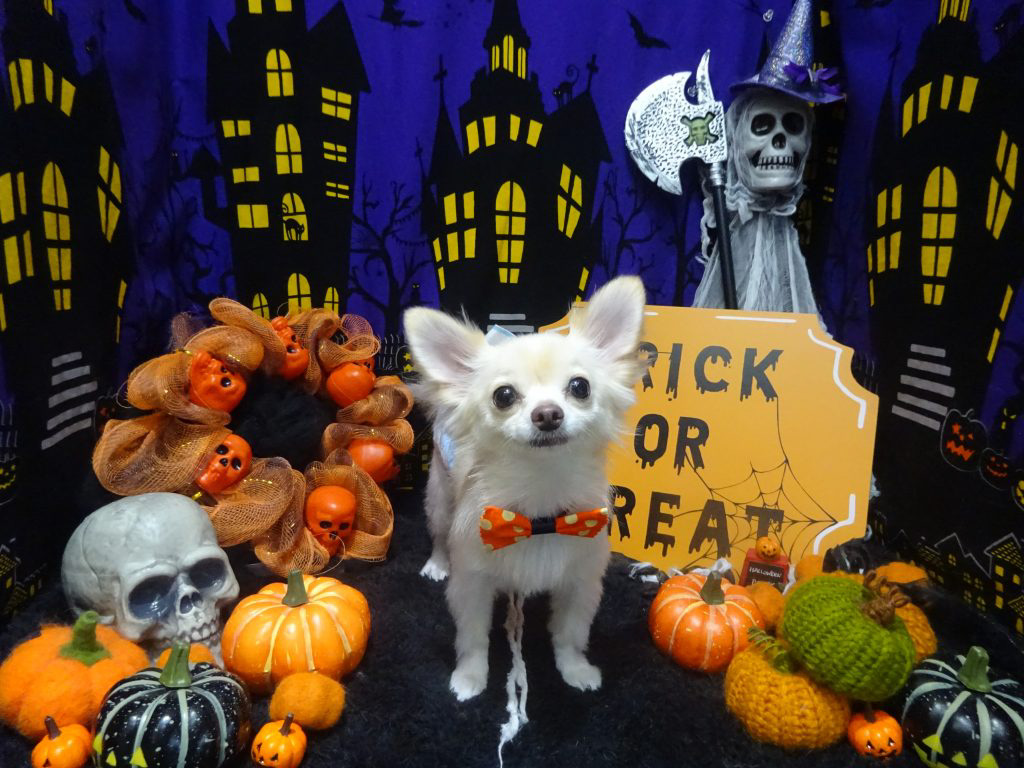 dsc02079