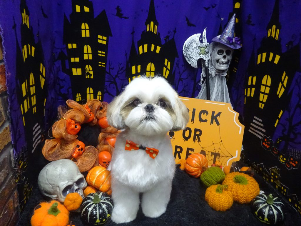 dsc02095