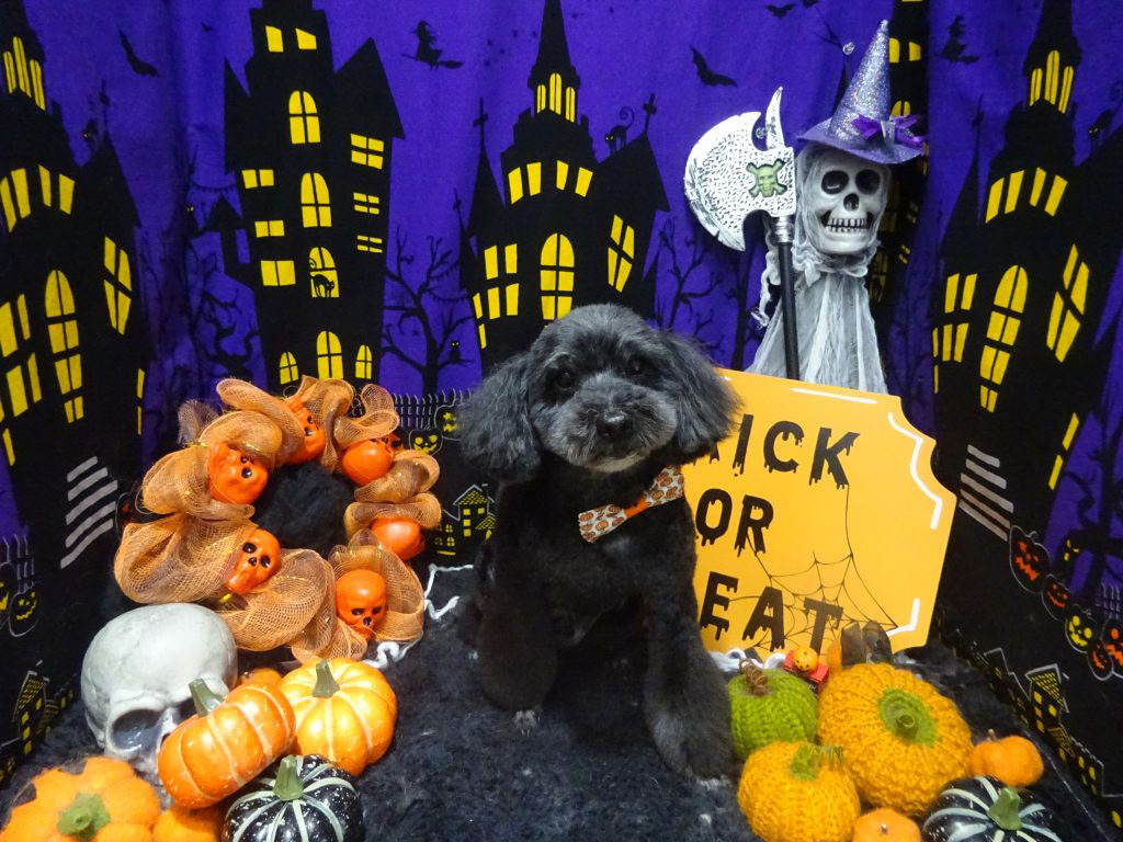 dsc02207