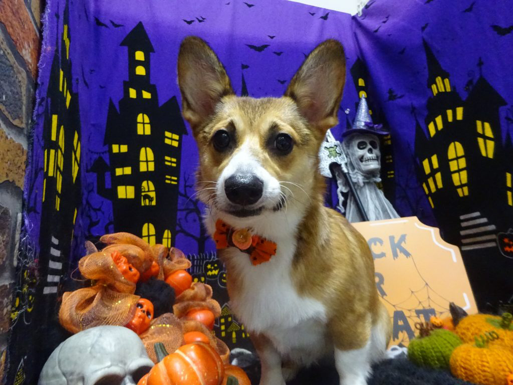 dsc02217