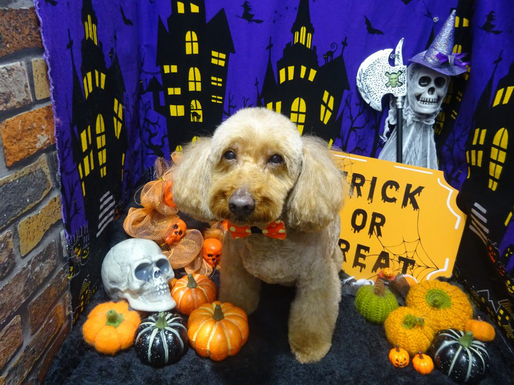 dsc02286