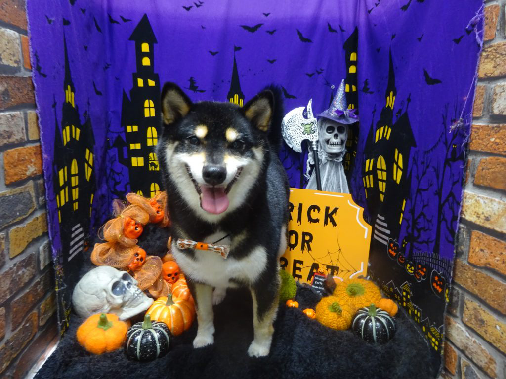 dsc02304
