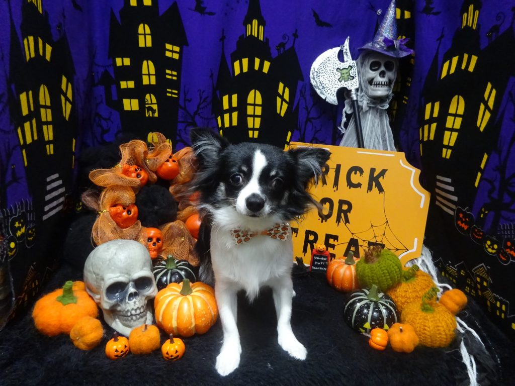dsc02335