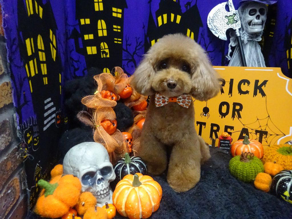 dsc02474