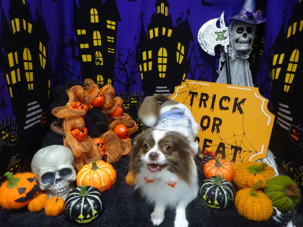 dsc02524