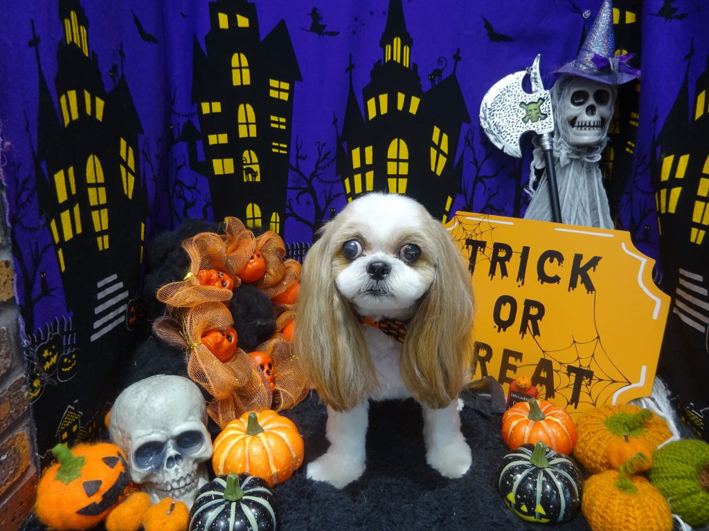 dsc02525