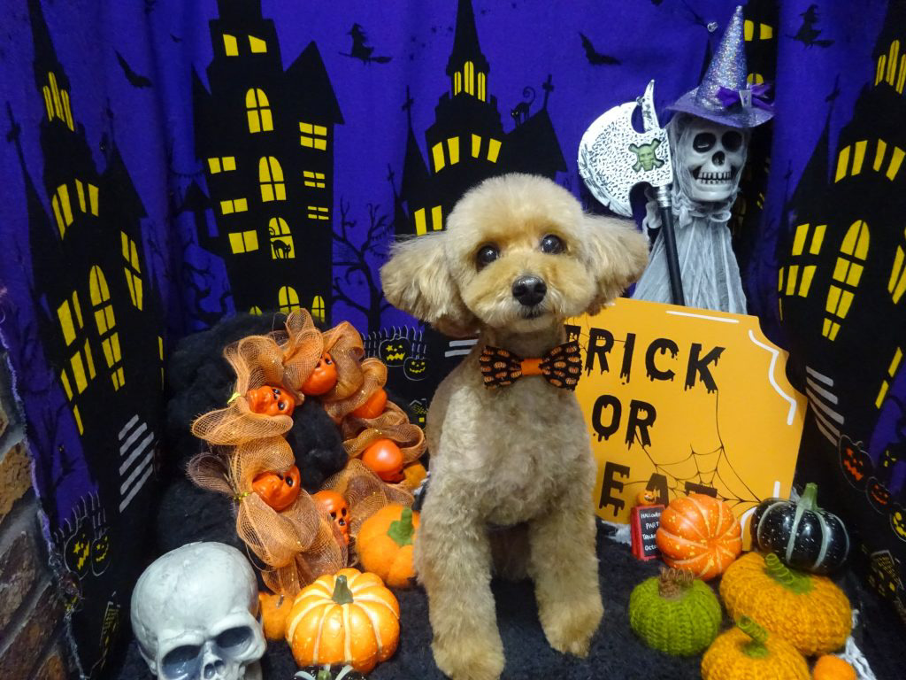dsc02651