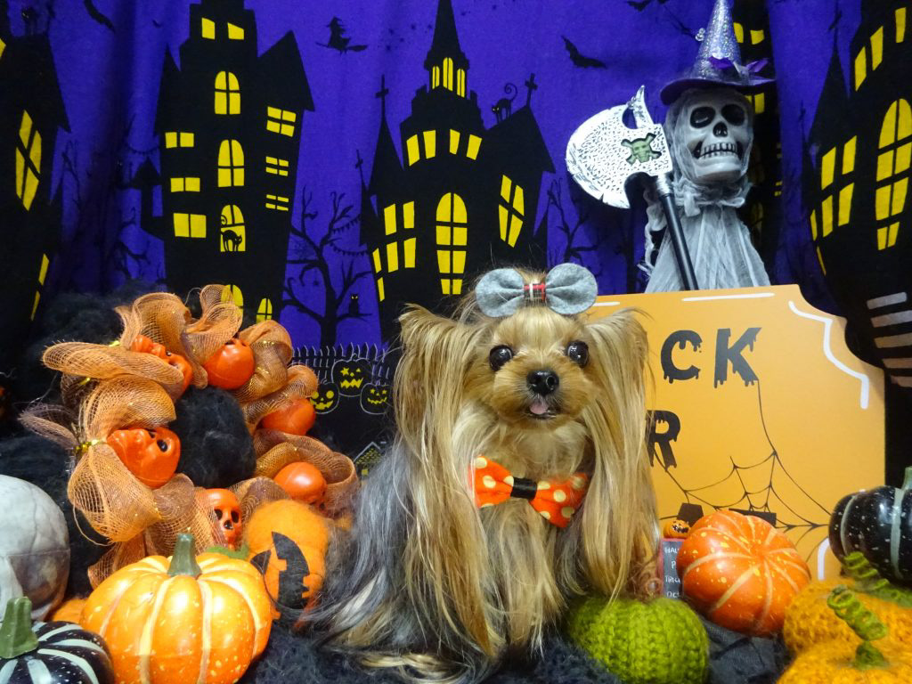 dsc02657