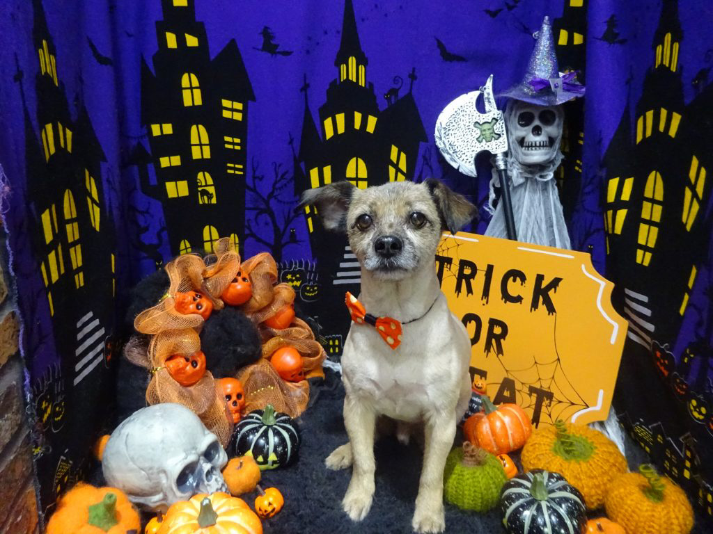 dsc02807