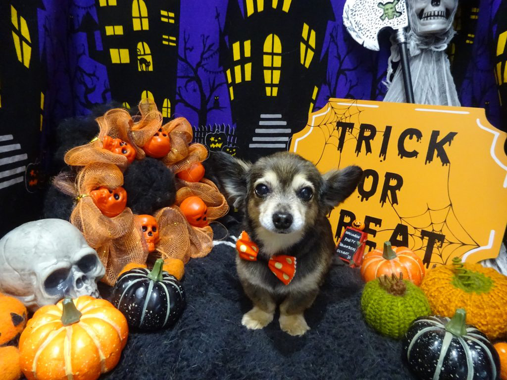 dsc02857