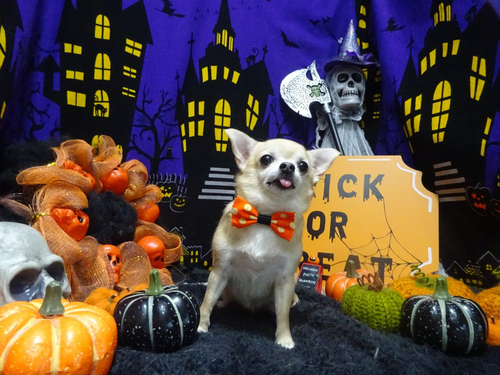 dsc02868
