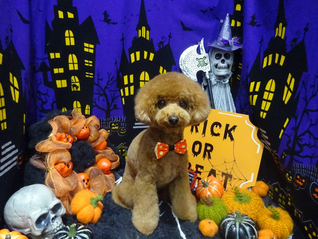 dsc02915