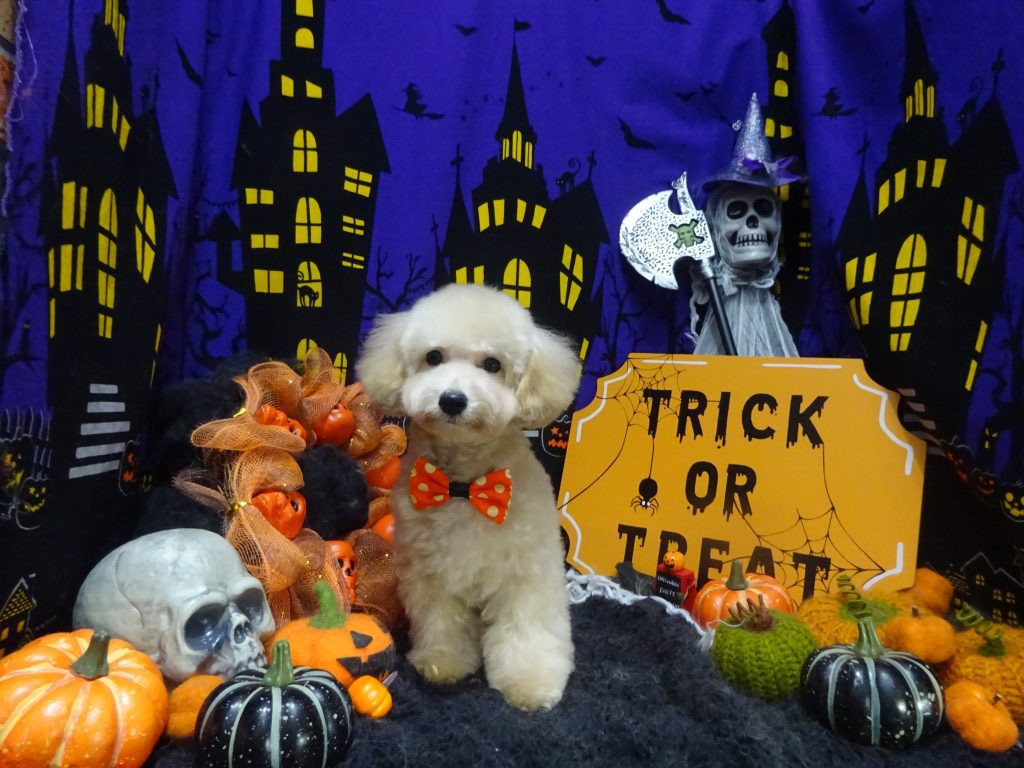 dsc02987