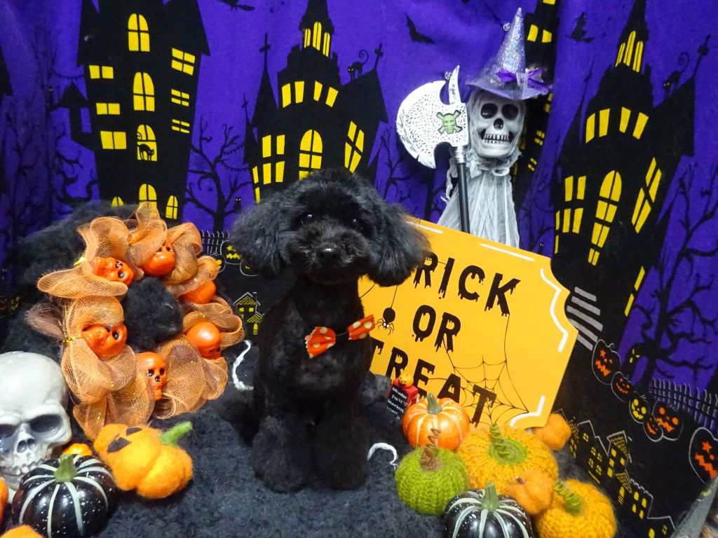 dsc03103