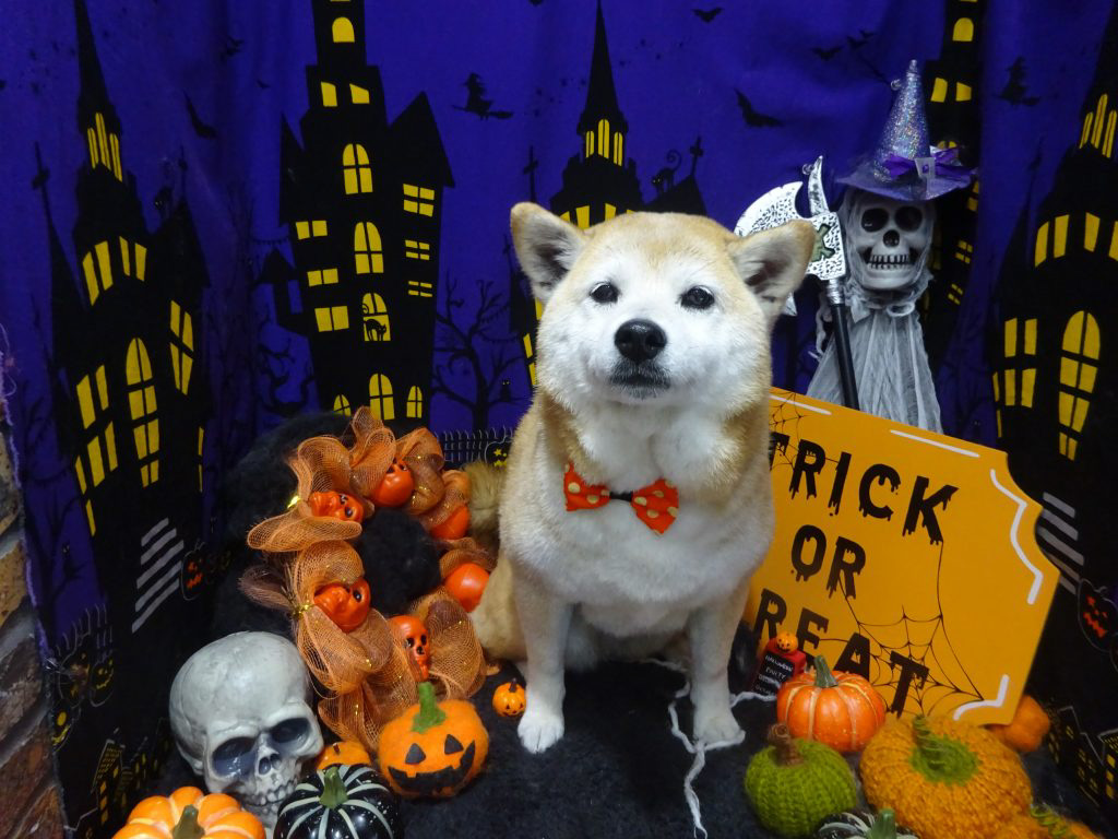 dsc03150