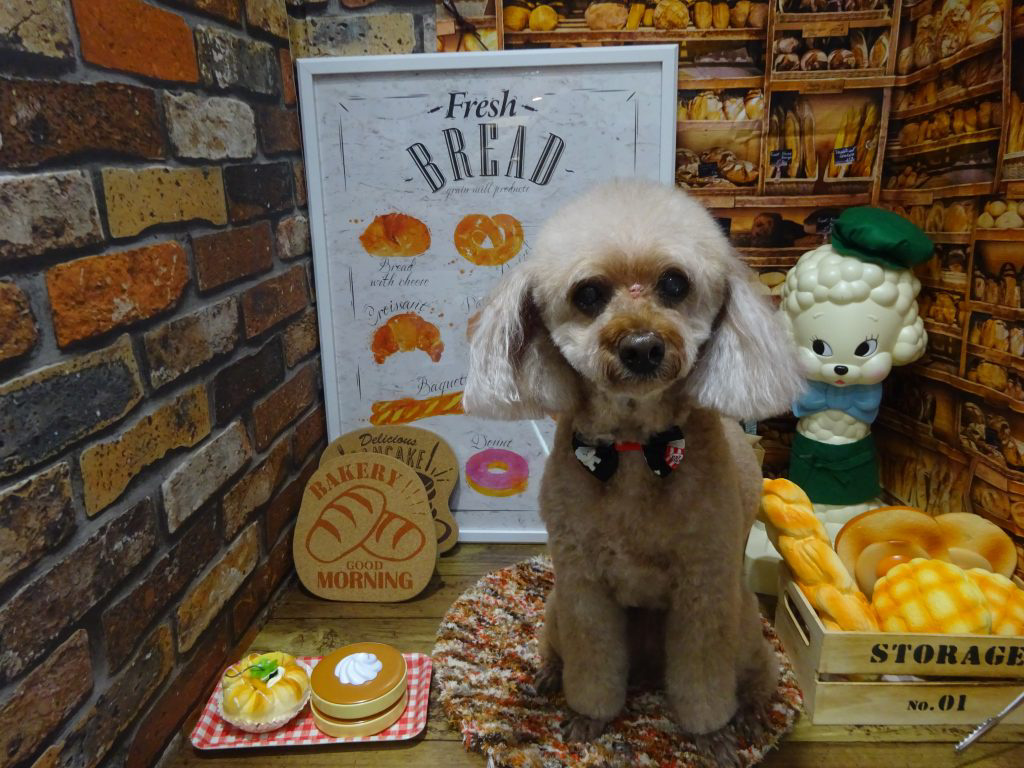 dsc03166