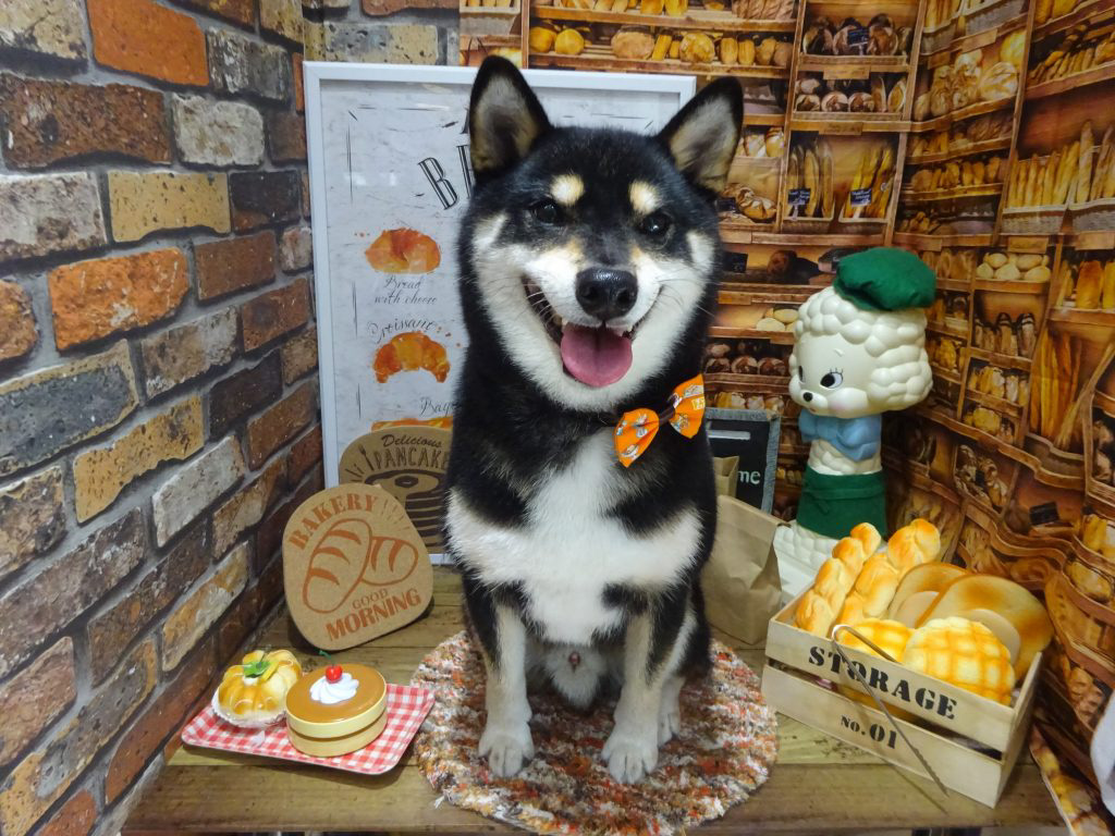 dsc03770