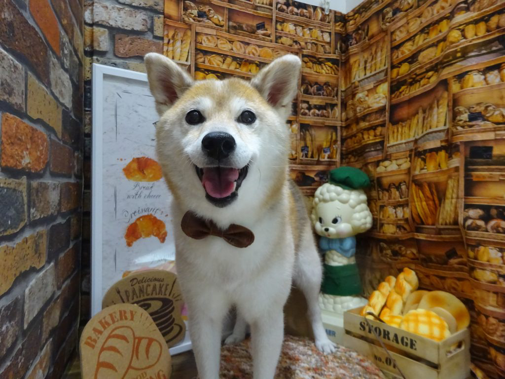 dsc03858