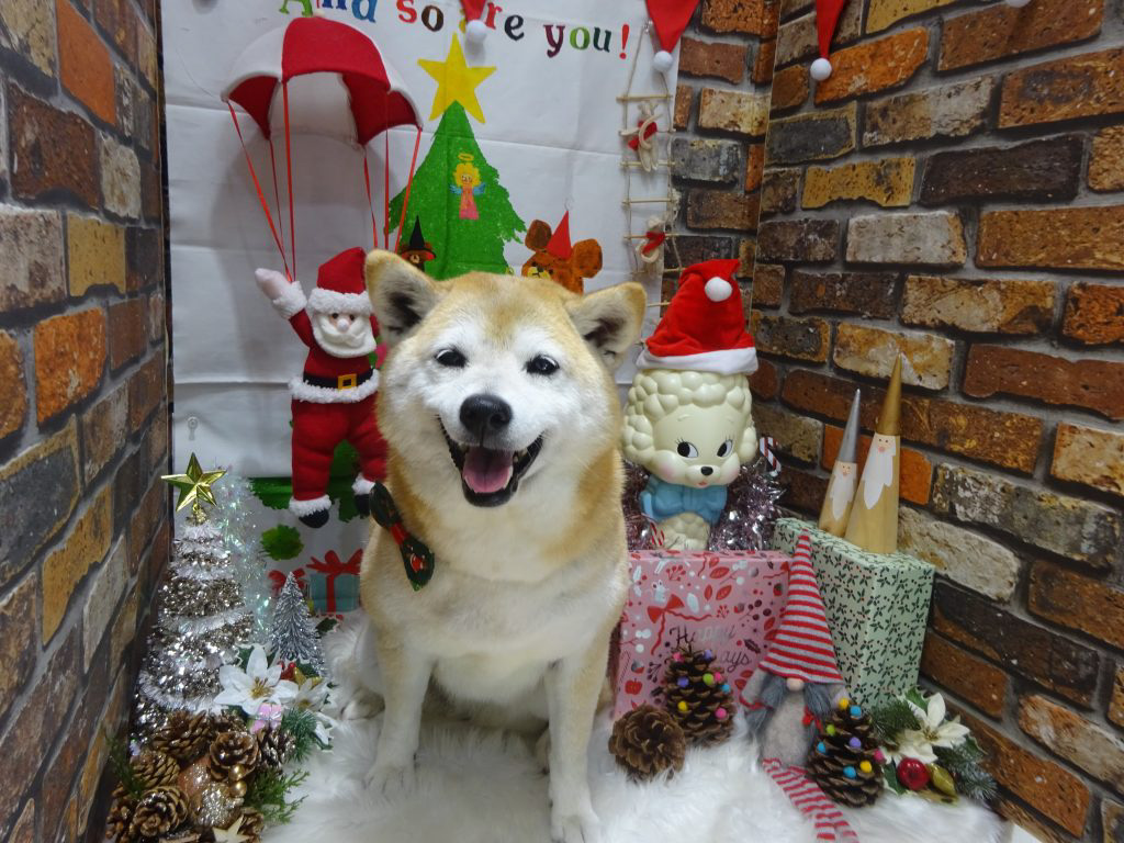dsc04005