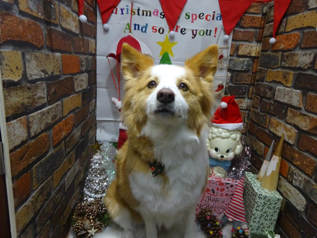 dsc04094