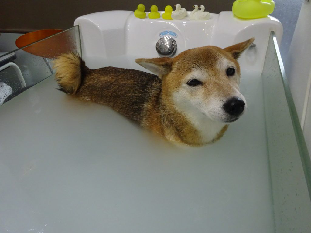 dsc04125
