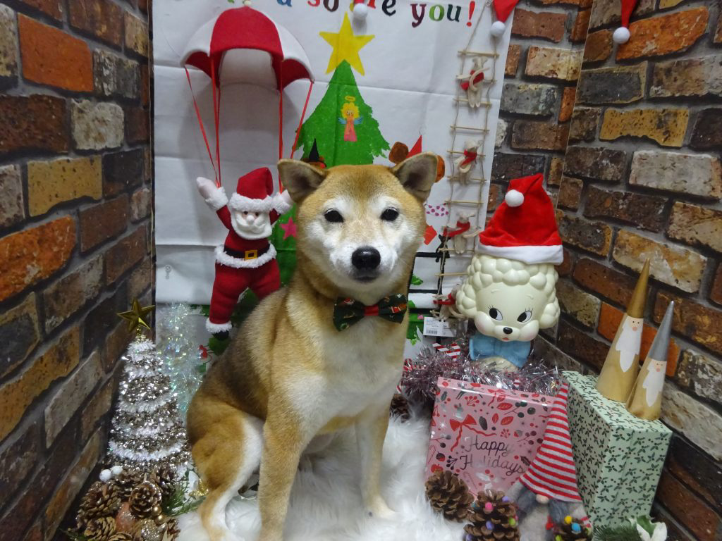 dsc04126