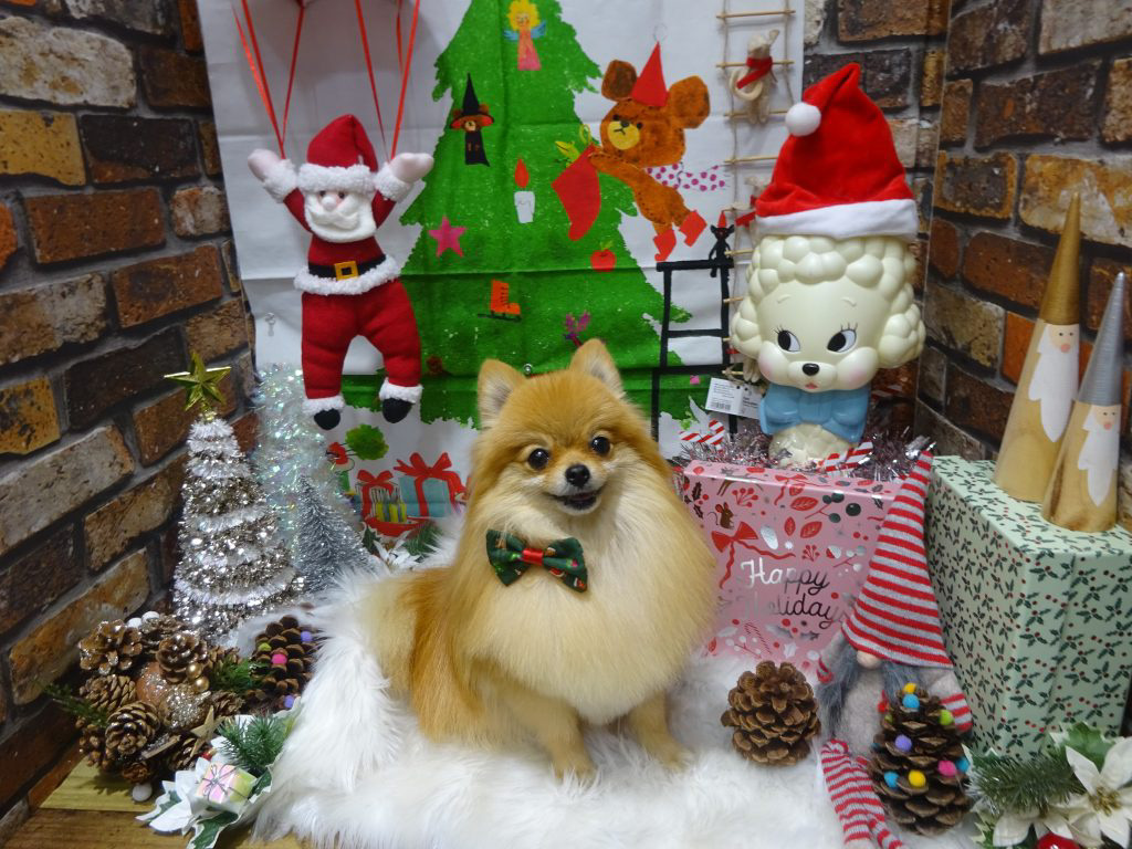 dsc04253