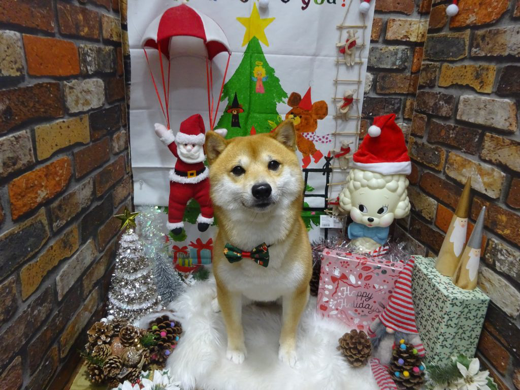 dsc04266