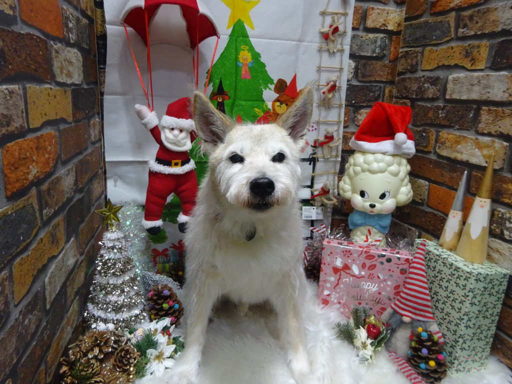 dsc04306