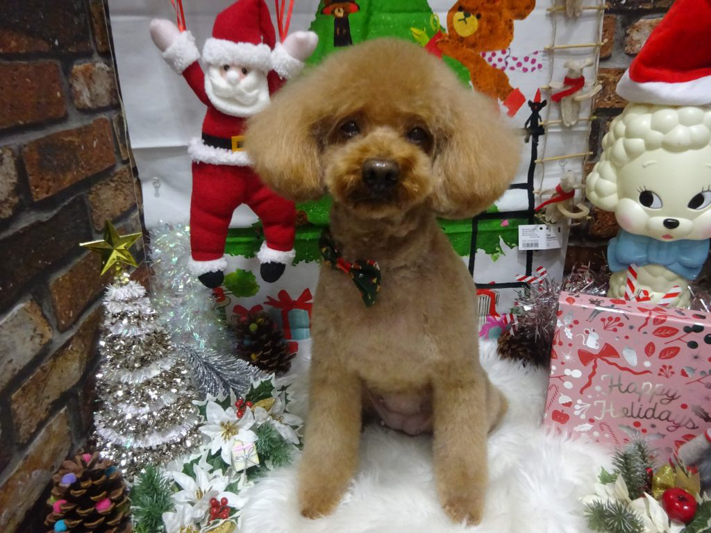 dsc04341
