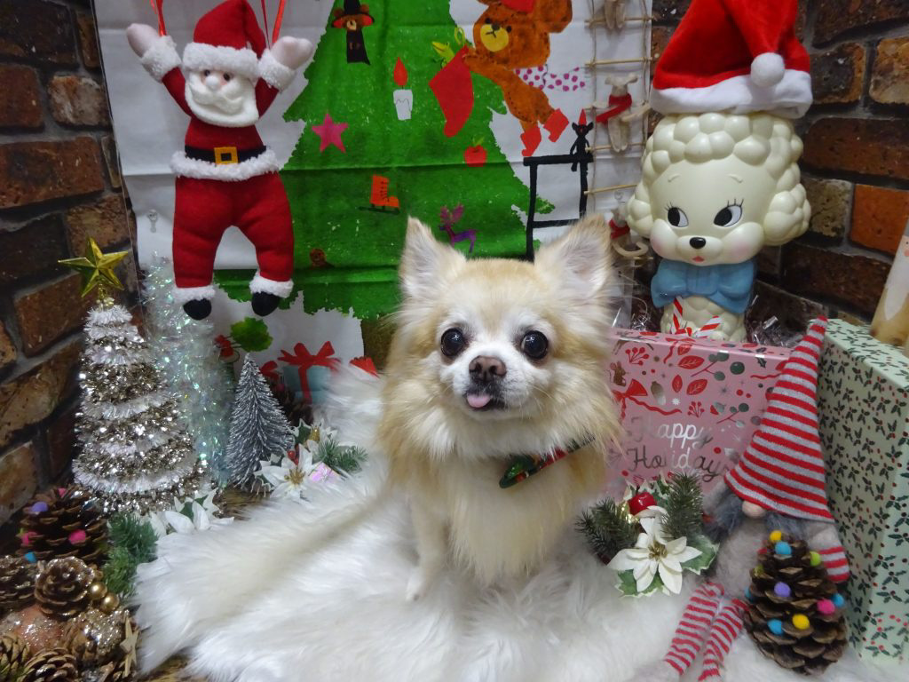 dsc04372