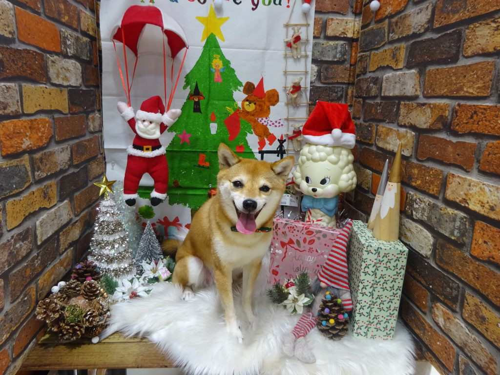 dsc04378